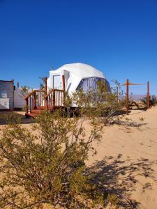 a tent in the middle of the desert at The Kosmic Tortoise in Twentynine Palms