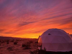 Imagen de la galería de The Kosmic Tortoise, en Twentynine Palms