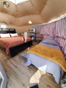 トウェンティナイン・パームズにあるThe Kosmic Tortoiseのテント内のベッドルーム1室(ベッド2台付)