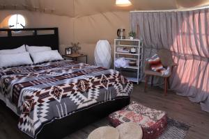 Afbeelding uit fotogalerij van The Kosmic Tortoise in Twentynine Palms +14 foto's