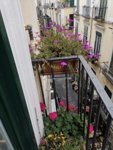 balkon pełen kwiatów na budynku w obiekcie Le 13 Fontane w mieście Salerno