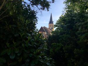 a church with a steeple seen through the trees at MR-Ferienwohnung - Wohnung Hönnersum in Harsum