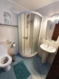 a bathroom with a shower and a toilet and a sink at Casa Hoinarilor Wanderers House in Bran