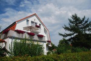 Zahrada ubytování Pension Heimchen