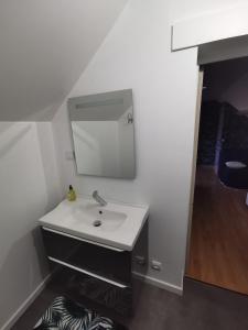 uma casa de banho com um lavatório e um espelho em Agréable chambre d’hôte à la campagne em Villefranche-Sur-Cher