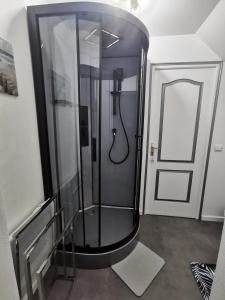 una ducha con puerta de cristal en una habitación en Agréable chambre d’hôte à la campagne en Villefranche-Sur-Cher