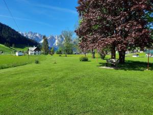 einen Park mit einer Bank und einem Baum auf einem Feld in der Unterkunft Haus Grünwald in Gosau