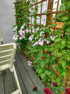 un banc blanc assis sur une terrasse en bois ornée de fleurs dans l'établissement Kamienna Chata, à Urowo