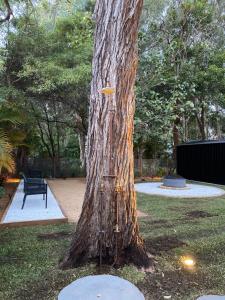 Beach Shack semi detached, 2 Min Walk to Beach - Wattle外面的花园