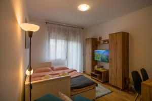 a small bedroom with a bed and a television at Studio apartman Anja in Zlatibor