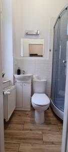 a white bathroom with a toilet and a shower at Little room 7 - pokój z prywatną łazienką i aneksem in Szczecin