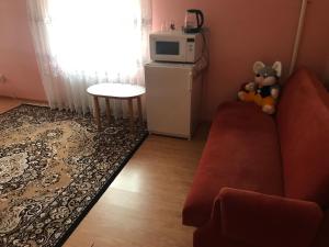 ein Wohnzimmer mit einem roten Sofa und einer Mikrowelle in der Unterkunft Апартаменти з окремою ванною кімнатою in Czernowitz