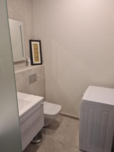 Un baño con inodoro, lavabo y espejo. en The Familytree- Martensi, en Pärnu 5 fotos más