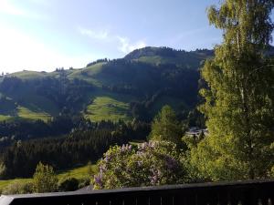 Un paisaje natural cerca del chalet de montaña