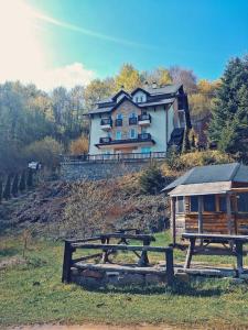 een huis op een heuvel met twee picknicktafels bij Vila Vedrana Apartman Nedeljkovic in Brzeće