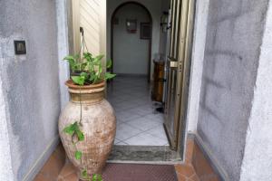 Fotografie z fotogalerie ubytování Grotta del Monaco v destinaci Pedara