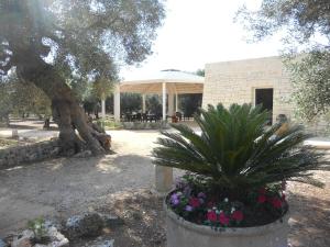 A garden outside Tenuta Pigliano Hotel