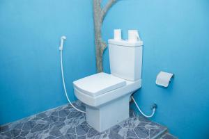 a bathroom with a white toilet in a blue wall at Sigiri Sandilu Homestay in Sigiriya