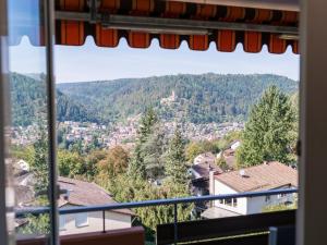 a view of a city from a window at Hochwald Hotel & Apartment in Bad Liebenzell