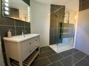 a bathroom with a sink and a shower at LA BERGERIE DU DAMIAN in Neuville