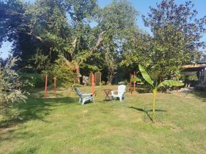 twee stoelen en een tafel in de tuin bij VILLA LES CAMELIAS in Fontaine-lès-Vervins