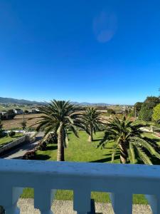 un balcón con vistas a las palmeras. en Hotel Regueiro, en Tox