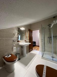 a bathroom with a toilet and a sink and a shower at Hotel Regueiro in Tox