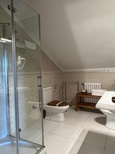 a bathroom with a toilet and a glass shower at Hotel Regueiro in Tox