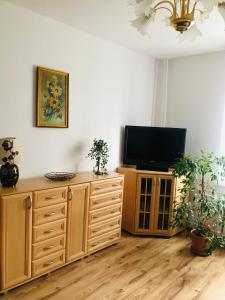una sala de estar con TV de pantalla plana en un armario de madera en Apartament 2 pokojowy Gdańsk, en Gdansk