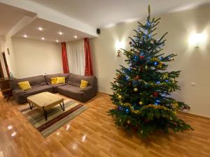 Vila Amira Predeal في بريدال: شجرة عيد الميلاد في غرفة معيشة مع أريكة