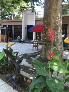 a tree with red flowers in front of a building at Hotel Nino Ureki in Ureki