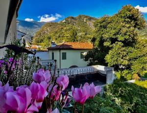 Imagen de la galería de Casa Alpha, en Vittorio Veneto