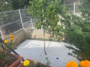 Zahrada ubytování Las Moreras