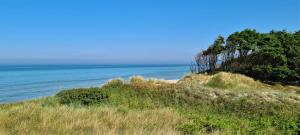 a grassy hill with the ocean in the background at Bungalow "Achtern" in Zingst