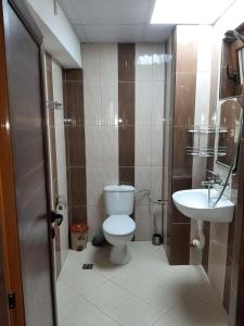 a bathroom with a toilet and a sink at Къща за гости "Мегдана на Чаршията" in Smilyan +29 photos