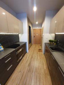 Kuchyňa alebo kuchynka v ubytovaní Apartamenty Ceglana Park -parking w hali garażowej- piękne nowe osiedle