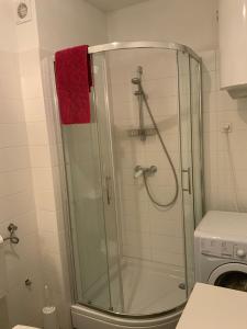 a shower in a bathroom with a red towel at Apartman Lili in Zaton