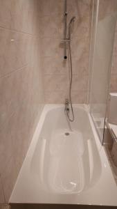 Ένα μπάνιο στο Hearten - Mulhouse bnb +31 φωτογραφίες