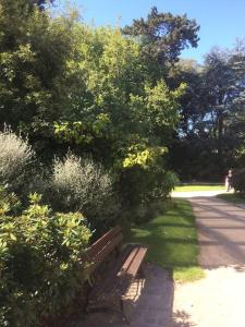 a park bench sitting in the grass next to trees at Sweetie Flat in Cherbourg en Cotentin