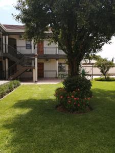a house with a tree and a bush with flowers at LALA POA GUEST HOUSE in Klerksdorp