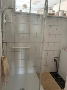 a shower with a glass door in a bathroom at Stadtwohnung Villach Lind in Villach