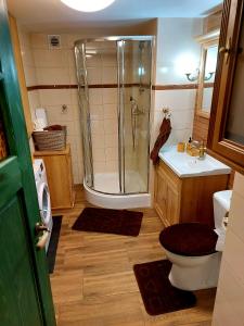 a bathroom with a shower and a toilet and a sink at OAZA SPOKOJU NA FERMIE JELENI SLOW LIFE APARTAMENTy in Górowo Iławeckie