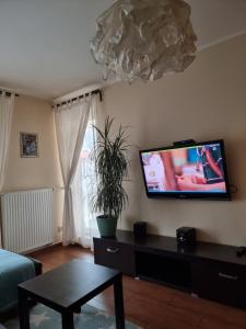 Televízia a/alebo spoločenská miestnosť v ubytovaní Apartament Centrum Park