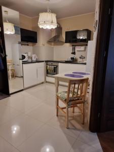 Kuchyňa alebo kuchynka v ubytovaní Apartament Centrum Park