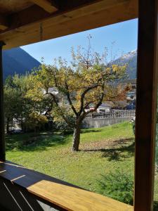 Príroda v okolí apartmánu