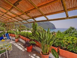 Gallery image of Hotel Casa del Sole in Ischia