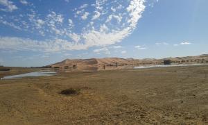 a desert with sand dunes in the middle of a field at Sahara Desert Trips & Camps in Merzouga +3 photos
