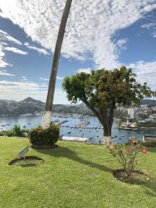 a palm tree and a park with a view of the water at Sierra 2 in Acapulco