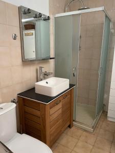 a bathroom with a sink and a shower at Casa Venezia in Airole, Liguria, Italy in Airole