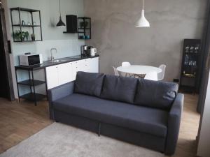 Kuchyňa alebo kuchynka v ubytovaní Apartament Kołobrzeska + 6 fotografií